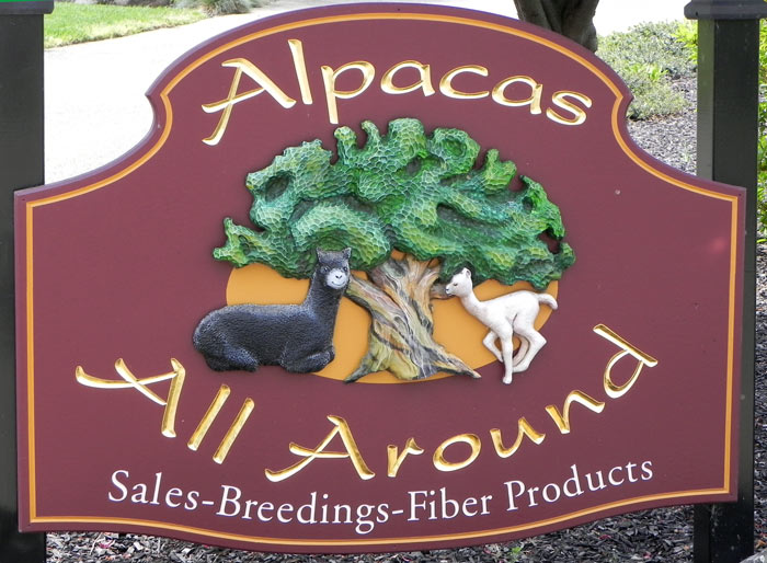 Alpaca Farm Sign